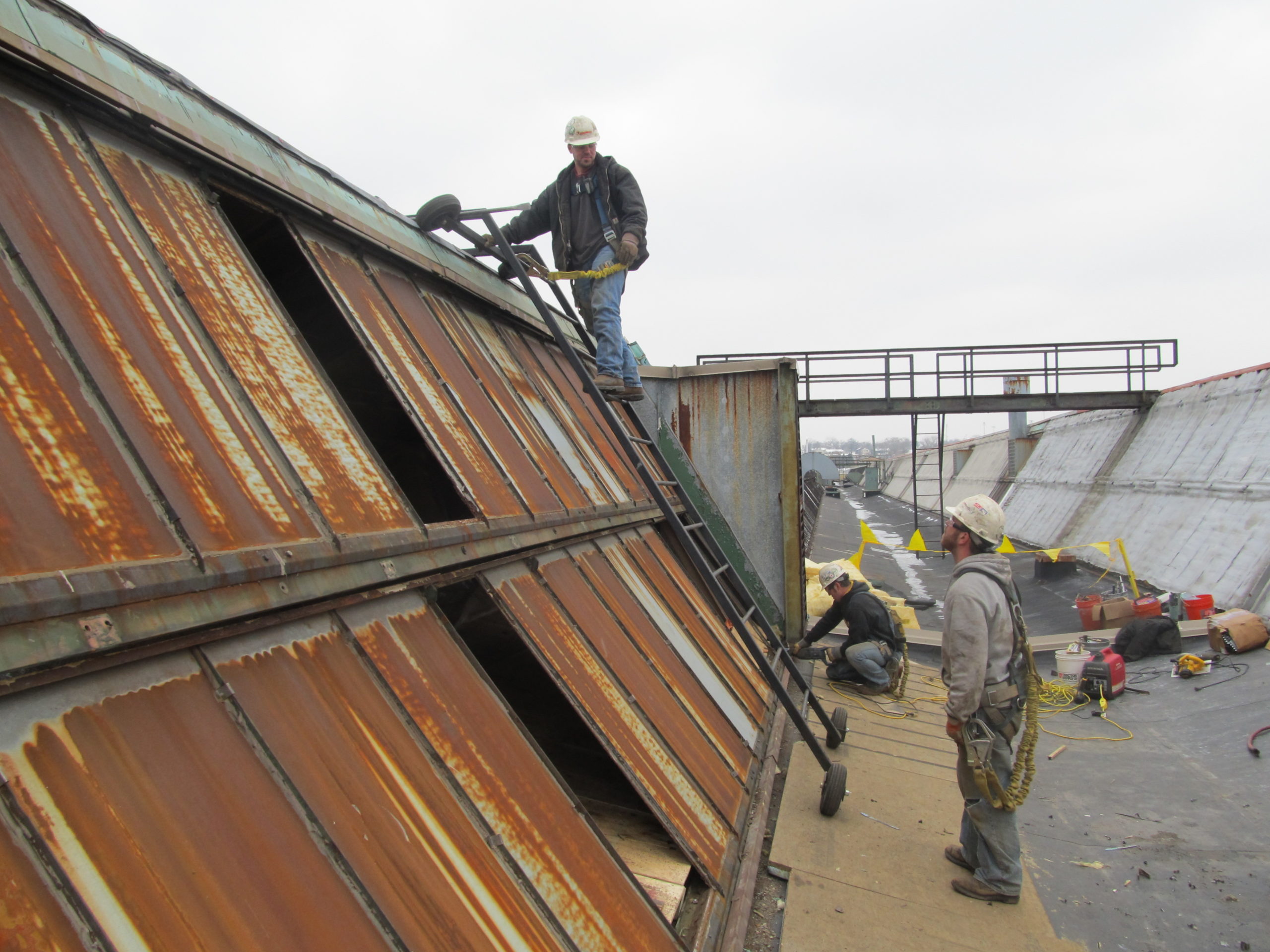 Fortune 500 Company Skylight Removal