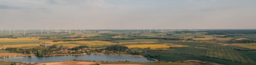 Environmental remediation services